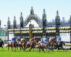 Melbourne Cup day